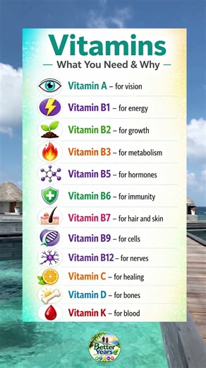 12 Vitamins Explained What You Need & Why 💊