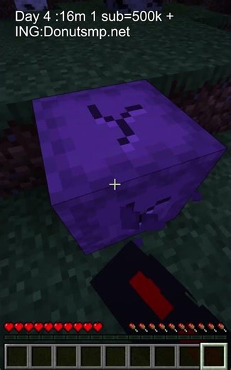 DAY 4 OF HIDING LOOT ON DONUT SMP #minecraft #minecraft #donutsmp #rich #media