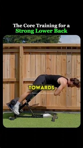 The Core Exercises for a Strong Low Back ‪@lowbackability‬ #backpain #exercise #fitness