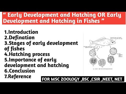 Early development and hatching | Early development and hatching in fishes | Hatching process