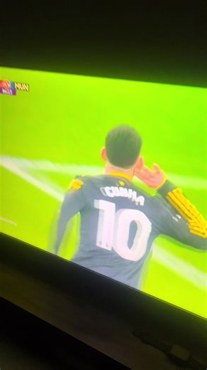 Weekend Montage: Highlights from My Recent Adventures