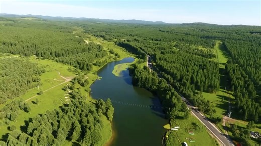 How tree-planting campaign is shaping China's green vision