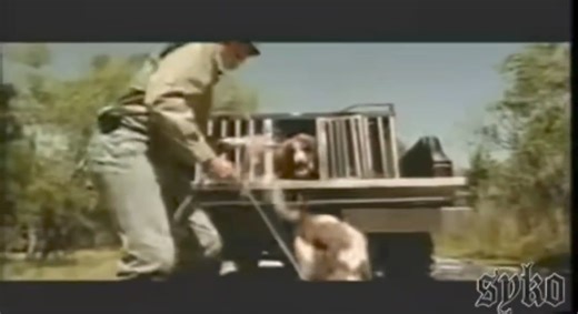 🚨"Harlem World" is the debut studio album by #Harlem rapper #Mase. It was released on October 28, 1997, by #BadBoy Records and Arista Records. The album was nominated at the 41st Annual Grammy Awards for Best Rap Album. It went on to sell 4.9 million copies and going quadruple platinum in the United States. | Hip Hop Head Quarters1