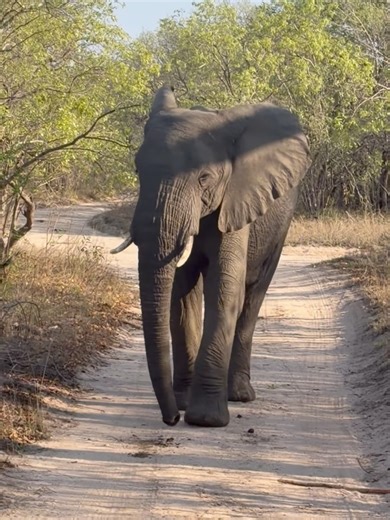 Harris Fitness on Reels | Facebook