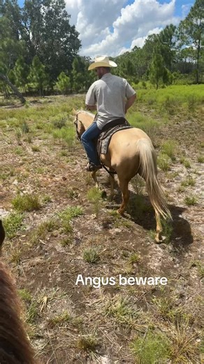 Exploring Ranching Culture at Burger King