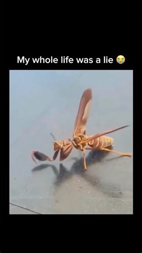 My whole life was a lie 😭