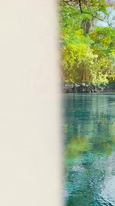 Los ingredientes de @purpleoceansuperfoodbar saben a Florida, al igual que el agua natural de Zephyrhills. | Zephyrhills Natural Spring Water