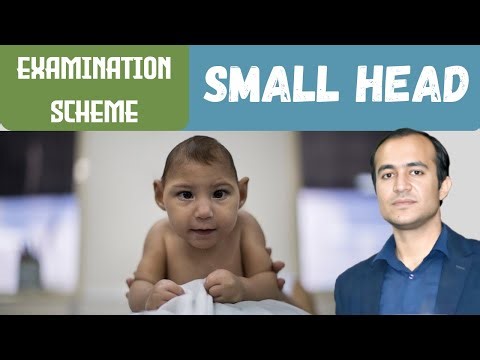 Small Head (Microcephaly) Examination | Complete Clinical Assessment Guide