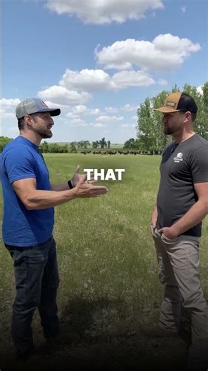 The Biggest Myth About Raising Bison