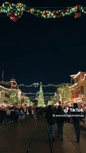 Magical Christmas Eve at Disneyland