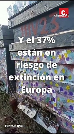 "Seamos enjambre": avances en la petición para salvaguardar la apicultura
