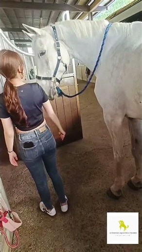 J.S實作騎乘課程內容包含？ #騎馬體驗 #台北馬場 #台北馬術課程