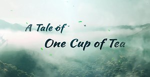 41 reactions | The Cultural Landscape of Old Tea Forests of the...