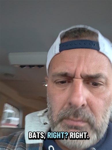 Have you heard of the Nipah Virus? it's a brain eating virus caused by bats with no cure. #nipah #virus #bats #lockdown2026