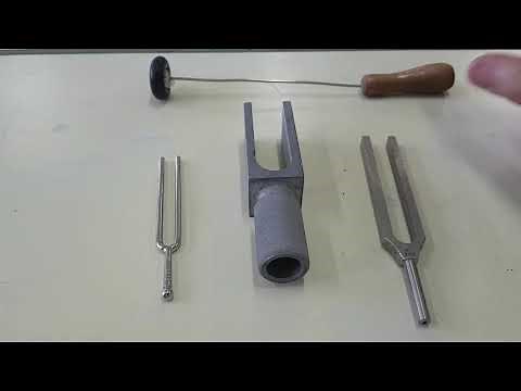 THE TUNING FORK