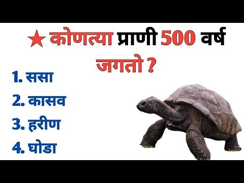 जनरल नॉलेज मराठी || प्रश्न आणि उत्तरे || Gk in Marathi || 405 || #Mhgk