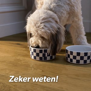 Is Quick-Step-parket echt waterdicht? Ja, 100%! Ons kliksysteem is uniek en zorgt ervoor dat water geen schade kan aanrichten onder de vloer. Het is perfect voor keukens, wasruimtes en overal waar je soms water morst. Een thuis vol geluk met de authentieke luxe van hout. Ontdek de collecties: https://www.quick-step.be/nl-be/parket/waterdicht-parket | Quick-Step