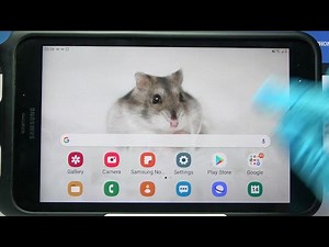 How to Turn Off Auto Rotation in SAMSUNG Galaxy Tab Active 2 – Block Screen Rotation