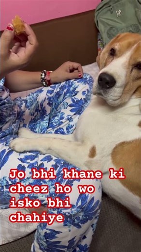 Coco#leo#isko bhi chizzi chahiye #dogshorts