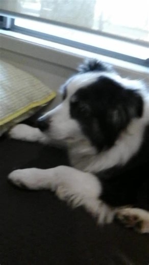 #voiceeffects i love my mummy