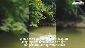 4.6K views · 285 reactions | Escaping from the scorching summer heat, a troop of monkeys at a scenic attraction on the outskirts of Nanning couldn't resist the temptation of the emerald waters! | China Xinhua News | Facebook