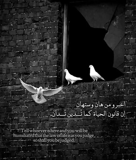 🇮🇶 | ‎. #اقتباسات #لايك #عبارات‎ | Instagram