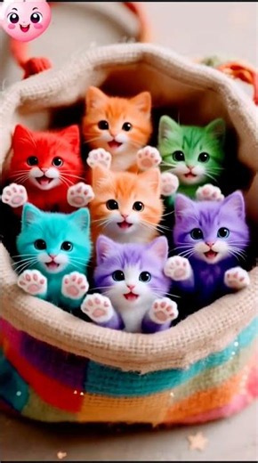 Tiny Cat Big Cute Meow 🐱🔥#shortvideo #trending #animation #anime