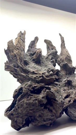 Nano Scape created today for our awesome returning client.