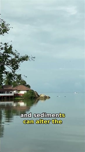 Discover the Science Behind Ocean Blue Colors 🌊