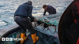 The new UK-EU deal at a glance