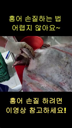 홍어 손질 하는 방법