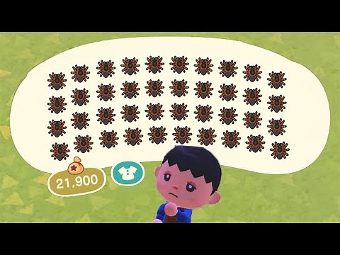 Animal Crossing New Horizons - How to get lots of Tarantulas