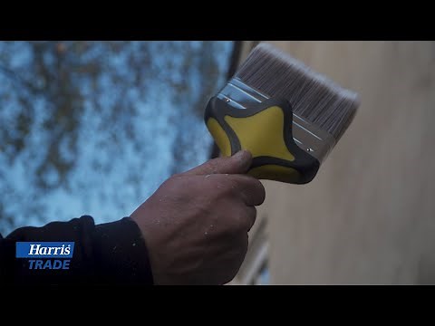 Painting masonry surfaces with Harris Trade | Screwfix