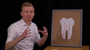 What Are Teeth Made Of?