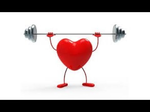 What is Physical Fitness?