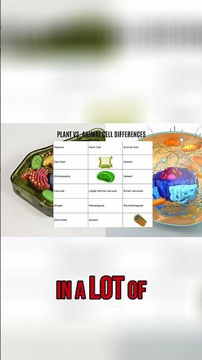 Plant Cells: Chloroplasts, Vacuoles & Water Storage! #shorts