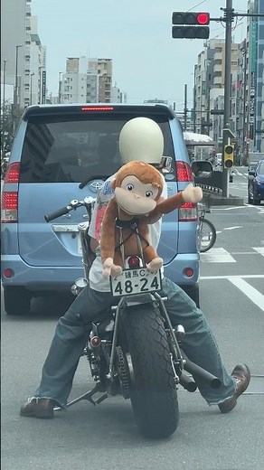 ジョージと一緒にツーリングしてきた🐵#bikelife #bikeride