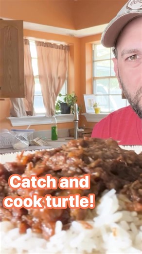 Would you try turtle? #Louisiana #turtles | Outside the Levees