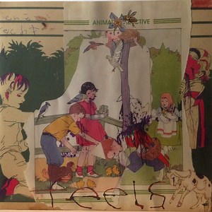 Animal Collective - Feels