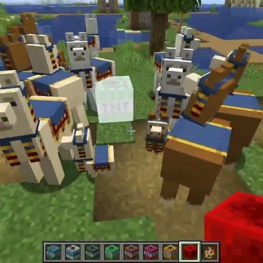 Tnt vs Mob 422