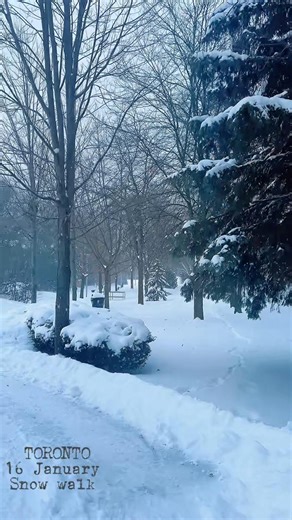 Toronto, Snow walk #toronto #snow #torontolifehome #torontovibes