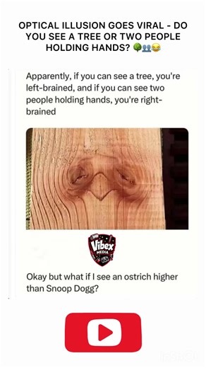 👀 Optical Illusion Goes Viral – Do You See a Tree or Two People Holding Hands? 😂