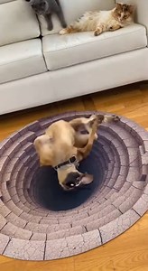 What makes certain moments unfold faster than the mind can process, leaving people reacting rather than actively guiding what happens next? | Laugh with Leigh