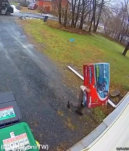 The delivery man went out of his way to hide the package 🙌🏼 #xmasballin #christmas #holidayspirit