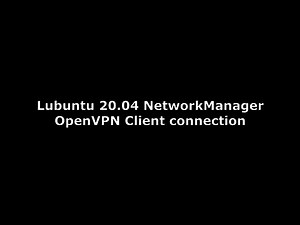 Lubuntu 20.04: Network-Manager openVPN Client connection