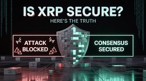 1.7K views · 23 reactions | Is XRP Actually Secure? XRP Ledger...