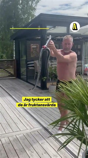Skulle ta ett dopp – då föll ”skräckormen” ner