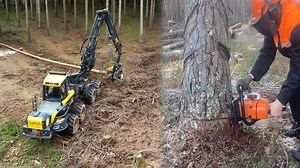 Powerful Chainsaws Handling Thick Logs with Ease