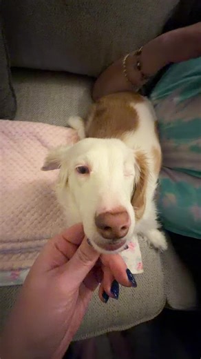 Adorable Baby Moments: A Fun Attempt at Support