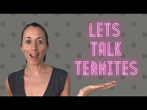 Types of Termites in Florida. Should you be concerned?
